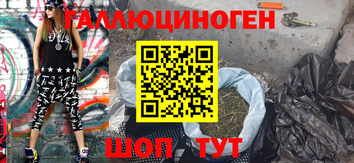 Псилоцибиновые грибы Psilocybine cubensis Волхов