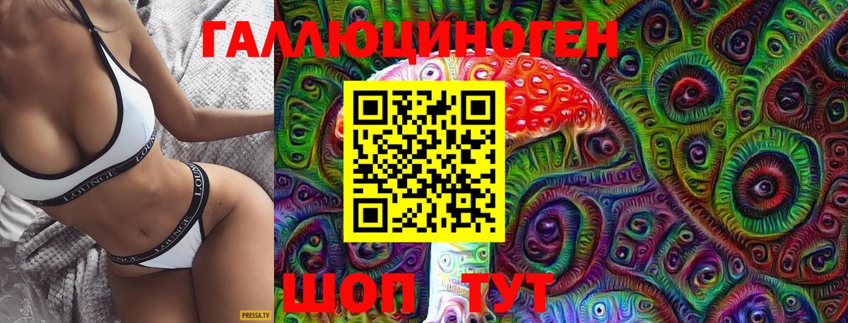 Волхов  Псилоцибиновые грибы Cubensis  Вход с VPN 